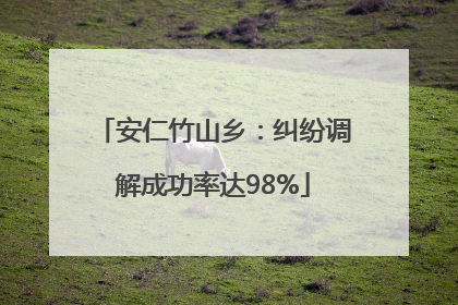 安仁竹山乡：纠纷调解成功率达98%