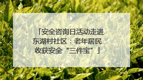 安全咨询日活动走进东湖村社区：老年居民收获安全“三件宝”