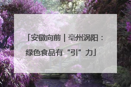 安徽向前｜亳州涡阳：绿色食品有“引”力
