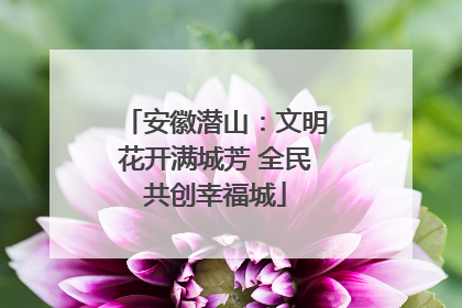 安徽潜山：文明花开满城芳 全民共创幸福城