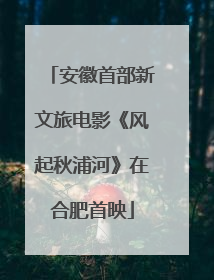 安徽首部新文旅电影《风起秋浦河》在合肥首映