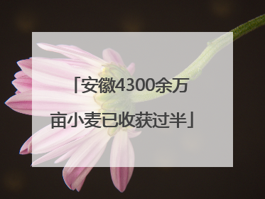 安徽4300余万亩小麦已收获过半