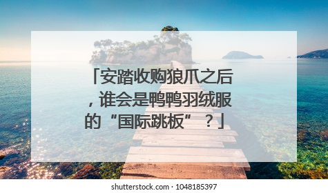 安踏收购狼爪之后，谁会是鸭鸭羽绒服的“国际跳板”？
