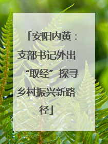 安阳内黄：支部书记外出“取经”探寻乡村振兴新路径