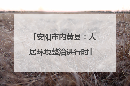安阳市内黄县：人居环境整治进行时
