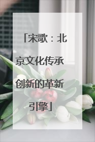 宋歌：北京文化传承创新的革新引擎