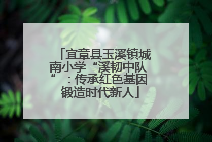 宜章县玉溪镇城南小学“溪韧中队”：传承红色基因 锻造时代新人