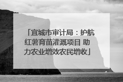 宜城市审计局：护航红薯育苗灌溉项目 助力农业增效农民增收