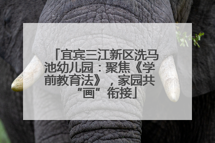 宜宾三江新区洗马池幼儿园：聚焦《学前教育法》，家园共“画”衔接