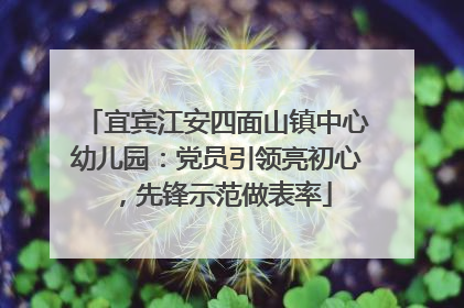 宜宾江安四面山镇中心幼儿园：党员引领亮初心，先锋示范做表率