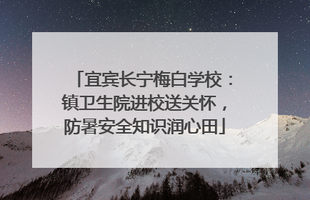 宜宾长宁梅白学校：镇卫生院进校送关怀，防暑安全知识润心田