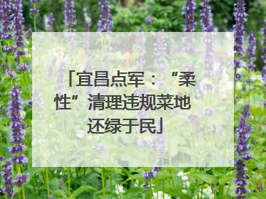 宜昌点军：“柔性”清理违规菜地 还绿于民