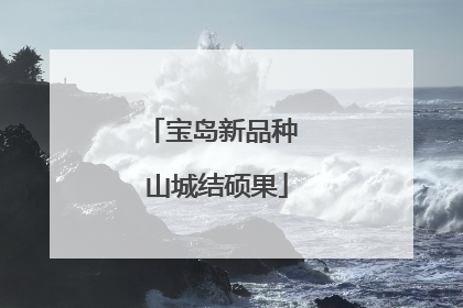 宝岛新品种 山城结硕果
