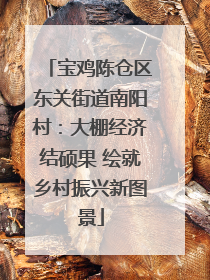 宝鸡陈仓区东关街道南阳村：大棚经济结硕果 绘就乡村振兴新图景