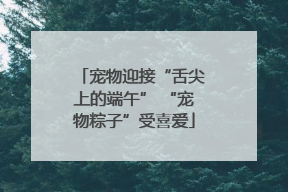宠物迎接“舌尖上的端午” “宠物粽子”受喜爱