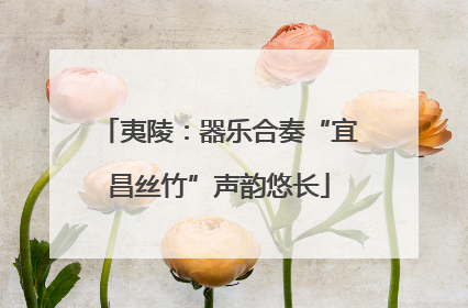 夷陵：器乐合奏“宜昌丝竹”声韵悠长