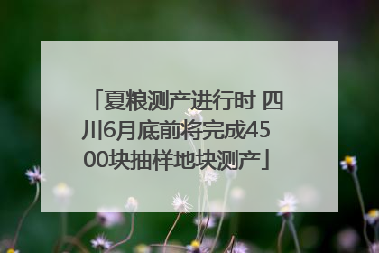 夏粮测产进行时 四川6月底前将完成4500块抽样地块测产