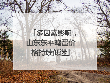 多因素影响，山东东平鸡蛋价格持续低迷