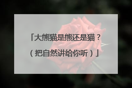大熊猫是熊还是猫？（把自然讲给你听）