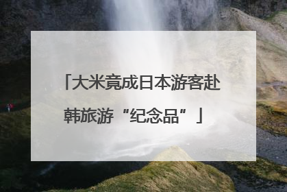 大米竟成日本游客赴韩旅游“纪念品”