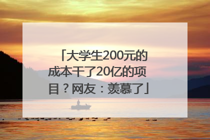 大学生200元的成本干了20亿的项目？网友：羡慕了