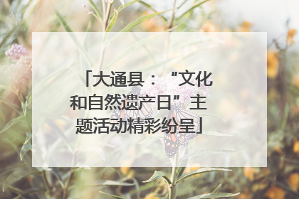 大通县：“文化和自然遗产日”主题活动精彩纷呈