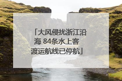 大风侵扰浙江沿海 84条水上客渡运航线已停航