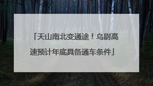天山南北变通途！乌尉高速预计年底具备通车条件