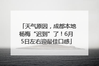 天气原因，成都本地杨梅“迟到”了！6月5日左右迎最佳口感