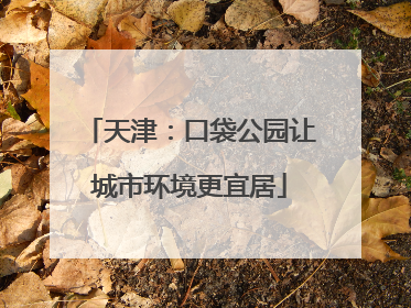 天津：口袋公园让城市环境更宜居