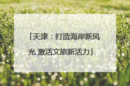 天津：打造海岸新风光 激活文旅新活力