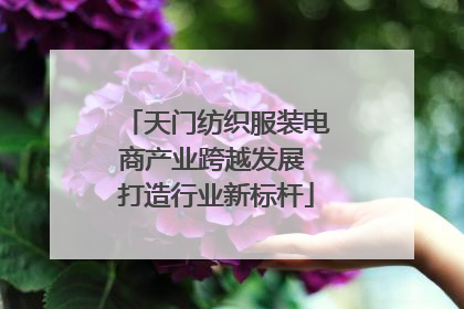 天门纺织服装电商产业跨越发展 打造行业新标杆