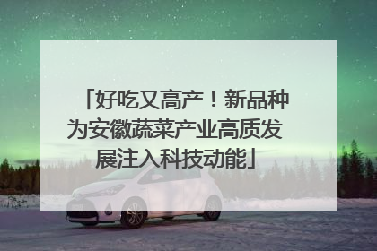 好吃又高产！新品种为安徽蔬菜产业高质发展注入科技动能