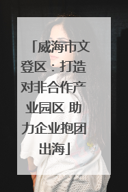 威海市文登区：打造对非合作产业园区 助力企业抱团出海