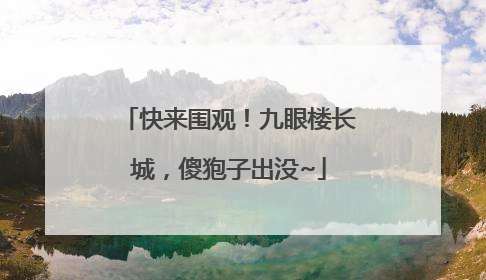 快来围观！九眼楼长城，傻狍子出没~