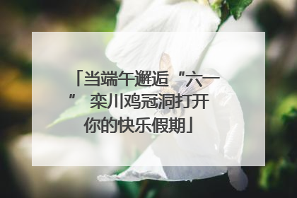 当端午邂逅“六一” 栾川鸡冠洞打开你的快乐假期