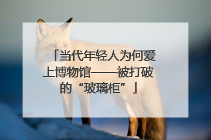 当代年轻人为何爱上博物馆——被打破的“玻璃柜”