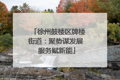 徐州鼓楼区牌楼街道：聚势谋发展 服务赋新能