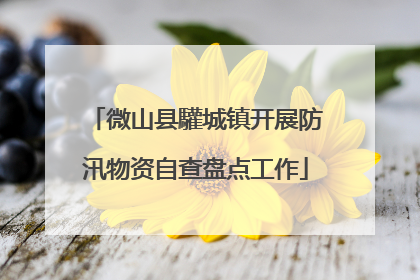微山县驩城镇开展防汛物资自查盘点工作