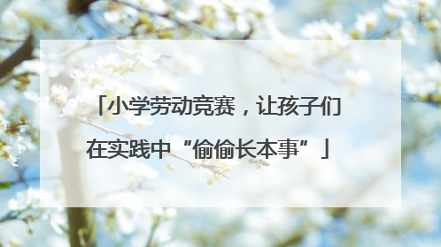 小学劳动竞赛，让孩子们在实践中“偷偷长本事”