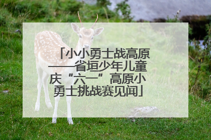 小小勇士战高原——省垣少年儿童庆“六一”高原小勇士挑战赛见闻