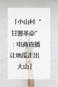 小山村“甘薯革命”：电商直播让地瓜走出大山
