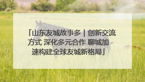 山东友城故事多｜创新交流方式 深化多元合作 聊城加速构建全球友城新格局