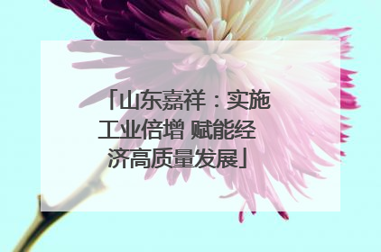 山东嘉祥：实施工业倍增 赋能经济高质量发展