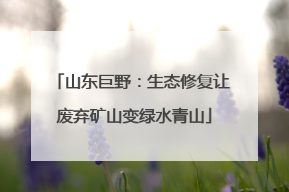 山东巨野：生态修复让废弃矿山变绿水青山