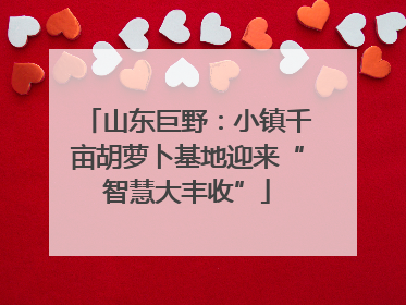 山东巨野：小镇千亩胡萝卜基地迎来“智慧大丰收”