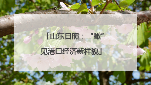 山东日照：“瞰”见港口经济新样貌