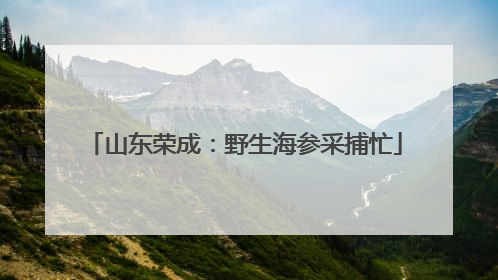 山东荣成：野生海参采捕忙