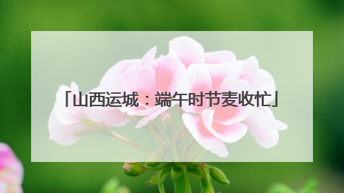 山西运城：端午时节麦收忙