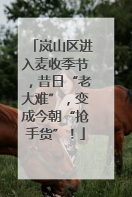 岚山区进入麦收季节，昔日“老大难”，变成今朝“抢手货”！